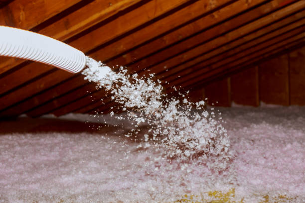 Best Professional Insulation Contractor  in , NE