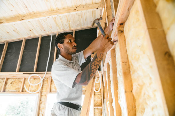 Best Insulation Removal  in , NE