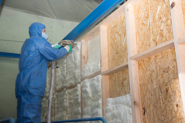 Best Insulation Contractors for Homes  in , NE